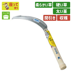 ؐ؊߁ijXeX K[fjO |pi   芙   _ p H ƒ؉ n n  ؍H O