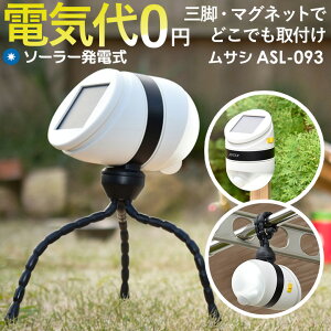 y49z lZT[Cg \[[Cg O hƃCg LEDZT[Cg TV ǂłZT[Cg\[[(ASL-093) [J[ۏؕt ZT[Cg \[[ ledCg 