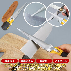 y}`V[vCg dグp1000zV[vi[ _ChqR[eBO X n  ؂ g₷ S  ֗ S̓{  ͂ nT~ ̂