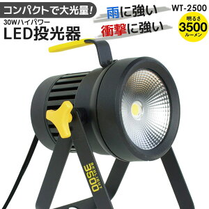 【49%引き】 ムサシ 全天候型LED投光器スカイライト30W(WT-2500) ワークライト 作業灯 投光器 屋外 led エクステリア 照明 防犯グッズ ライト 防犯ライト 【商品到着後レビューを書いて次回使