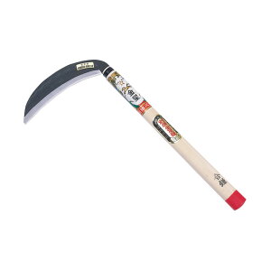 ���� �L���{�V �ʐ�� 180mm ���t �K�[�f�j���O ���| �_�� �_�� �H�� ���� ���� �L���{�V