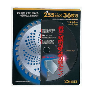 GS`bv\[`bvt 255×36P K[fjO | _ _ H   L{V