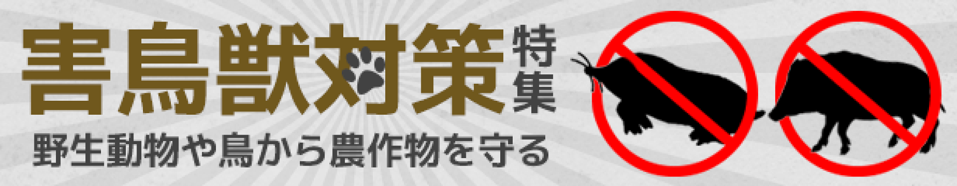 妨害獣対策