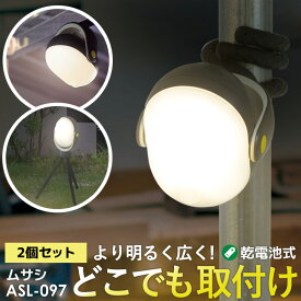 人感センサーライト 屋外 防犯ライト LEDセンサーライト ムサシ RITEX どこでもセンサーライト300（ASL-097）※2個セット※ 防犯灯 夜間照明 乾電池式 ledライト 自動点灯 懐中電灯 キャンプ ランタン アウトドア 人感センサー ライト 非常灯 玄関