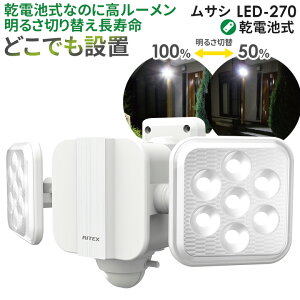 y51z lZT[Cg O hƃCg TV RITEX 5W×2 t[A[LEDdrZT[CgiLED-270j dr  K[W Ɩ hƃObY LEDCg 邳