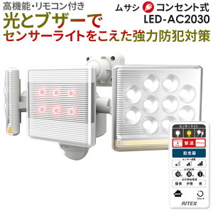 y50z lZT[Cg O hƃCg TV RITEX 12W×2 t[A[LEDZT[Cg RtiLED-AC2030j RZg AC  K[W Ɩ LED