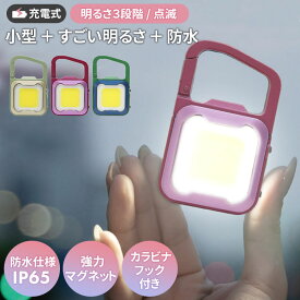 新発売 【メール便】【30％引き】ムサシ 充電式ぴかり MINI LIGHT USB充電 コンパクト 携帯 小型ライト アウトドア キャンプ COBライト ランタン 作業灯 現場 防犯 防災 スポットライト 照明 カラビナフック付き マグネット