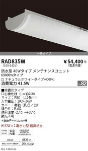 �y15,000�~�`�����������z�����Ɩ� ����SOLID�^40Wx2���^6900lm�^4000K RAD835W (���k�C���E����E����������)