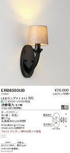y15,000~`zƖ LEDuPbg ERB6503UB (kCEE)
