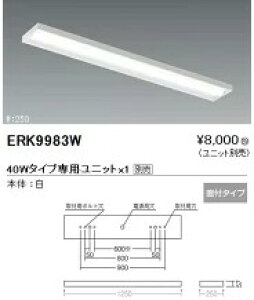 �y15,000�~�`�����������z�����Ɩ� LED�x�[�X���C�g�{��(���j�b�g�ʔ�)ERK9983W (���k�C���E����E����������)