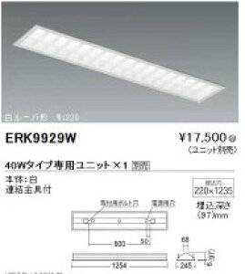 �y15,000�~�`�����������z�����Ɩ� LED�x�[�X���C�g�{��(���j�b�g�ʔ�)ERK9929W (���k�C���E����E����������)