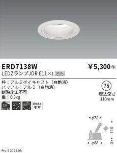 �y15000�~�`�����������z�����Ɩ� LED�_�E�����C�g ERD7138W�����v�ʔ� �H���K�v(���k�C���E����E����������)