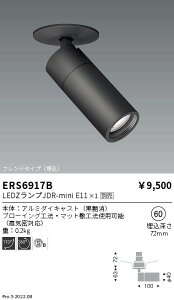 y15000~`zƖ LEDX|bgCg ERS6917B vʔ HKv(kCEE)