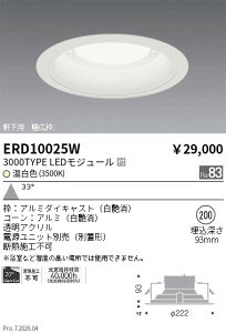 �y15,000�~�`�����������z�����Ɩ� �����_�E�����C�g�Q��200�Q3000TYPE�Q3500K�Q�� ERD10025W (���k�C�����ꗣ��������)