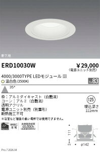 �y15,000�~�`�����������z�����Ɩ� �����_�E�����C�g�Q��125�Q3000TYPE�Q3500K�Q�� ERD10030W (���k�C�����ꗣ��������)