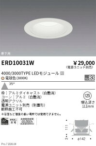 �y15,000�~�`�����������z�����Ɩ� �����_�E�����C�g�Q��125�Q3000TYPE�Q3000K�Q�� ERD10031W (���k�C�����ꗣ��������)