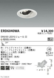 �y15,000�~�`�����������z�����Ɩ� DUAL�@���j�o�[�T��DL�@D90�^D60�@3000K�@�L�p ERD6040WA (���k�C�����ꗣ��������)