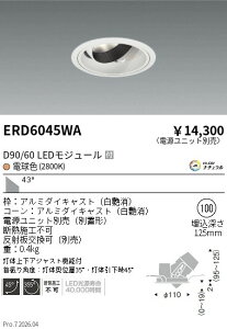 �y15,000�~�`�����������z�����Ɩ� DUAL�@���j�o�[�T��DL�@D90�^D60�@2800K�@���L ERD6045WA (���k�C�����ꗣ��������)