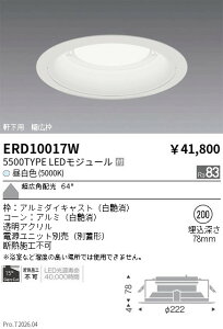 �y15,000�~�`�����������z�����Ɩ� �����_�E�����C�g�Q��200�Q5500TYPE�Q5000K�Q�� ERD10017W (���k�C�����ꗣ��������)