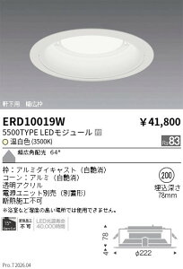 �y15,000�~�`�����������z�����Ɩ� �����_�E�����C�g�Q��200�Q5500TYPE�Q3500K�Q�� ERD10019W (���k�C�����ꗣ��������)