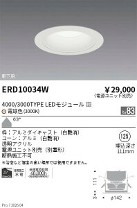 �y15,000�~�`�����������z�����Ɩ� �����_�E�����C�g�Q��125�Q3000TYPE�Q3000K�Q�� ERD10034W (���k�C�����ꗣ��������)