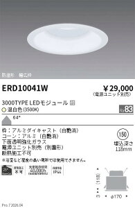 �y15,000�~�`�����������z�����Ɩ� �����_�E�����C�g�Q��150�Q3000TYPE�Q3500K�Q�� ERD10041W (���k�C�����ꗣ��������)