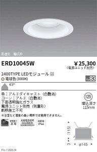 �y15,000�~�`�����������z�����Ɩ� �����_�E�����C�g�Q��125�Q2400TYPE�Q3000K�Q�� ERD10045W (���k�C�����ꗣ��������)