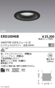 �y15,000�~�`�����������z�����Ɩ� �h���_�E�����C�g�Q��100�Q2400�^2000TYPE�Q40 ERD10046B (���k�C�����ꗣ��������)