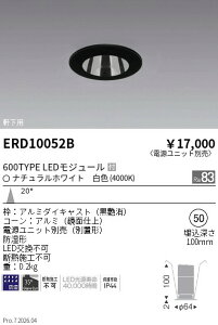 �y15,000�~�`�����������z�����Ɩ� �����_�E�����C�g���^���ʁQ��50�Q600TYPE�Q4000K ERD10052B (���k�C�����ꗣ��������)