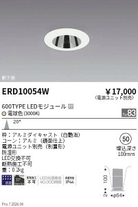 �y15,000�~�`�����������z�����Ɩ� �����_�E�����C�g���^���ʁQ��50�Q600TYPE�Q3000K ERD10054W (���k�C�����ꗣ��������)