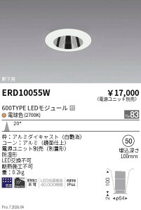 �y15,000�~�`�����������z�����Ɩ� �����_�E�����C�g���^���ʁQ��50�Q600TYPE�Q2700K ERD10055W (���k�C�����ꗣ��������)