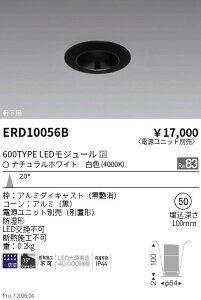 �y15,000�~�`�����������z�����Ɩ� �����_�E�����C�g���^���Q��50�Q600TYPE�Q4000K�Q ERD10056B (���k�C�����ꗣ��������)