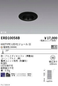 �y15,000�~�`�����������z�����Ɩ� �����_�E�����C�g���^���Q��50�Q600TYPE�Q3000K�Q ERD10058B (���k�C�����ꗣ��������)