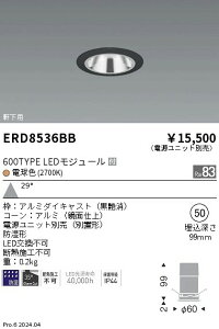 y15,000~`zƖ hGLx[XQ600^CvQʁQQLpQ2700K ERD8536BB (kCEE)
