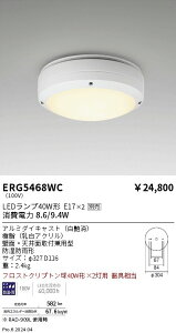 【15,000円〜送料無料※】遠藤照明 アウトドアシーリングライト/2灯用/白 ERG5468WC (※北海道・沖縄・離島を除く)