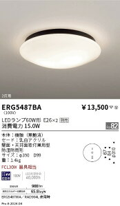 【15,000円〜送料無料※】遠藤照明 アウトドアシーリング/Φ350/黒/E26×2 ERG5487BA (※北海道・沖縄・離島を除く)
