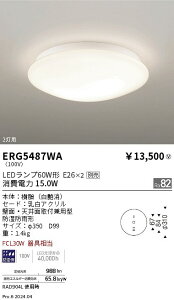 【15,000円〜送料無料※】遠藤照明 アウトドアシーリング/Φ350/白/E26×2 ERG5487WA (※北海道・沖縄・離島を除く)