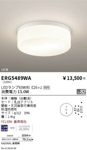【15,000円〜送料無料※】遠藤照明 アウトドアシーリング/Φ310/白/E26×2 ERG5489WA (※北海道・沖縄・離島を除く)
