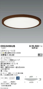 y15,000~`zƖ FV[OCg^OZ[h^8^_[NuE ERG5496UB (kCEE)