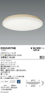 y15,000~`zƖ FV[OCg^Jo[Z[h^8^CguE ERG5497NB (kCEE)