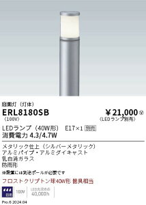 y15,000~`zƖ 뉀@`KXVʃJo[@Vo[@E17×1 ERL8180SB (kCEE)