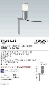 y15,000~`zƖ 뉀@`KXVʃJo[@XpCN@Vo[@E17 ERL8181SB (kCEE)