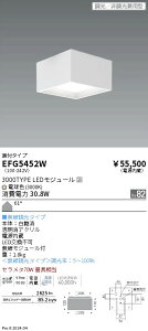 �y15,000�~�`�����������z�����Ɩ� �V�[�����O�@3000�^�C�v�@3000K�@��225�@���L�p EFG5452W (���k�C���E����E����������)