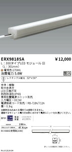 【15,000円〜送料無料※】遠藤照明 アウトドアリニア17_L300_2700K_レクタングル ERX9818SA (※北海道・沖縄・離島を除く)