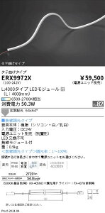 �y15,000�~�`�����������z�����Ɩ� �����t���L�V�u���G�b�WL�Q�c�Ȃ��QTunable�QL4000 ERX9972X (���k�C���E����E����������)