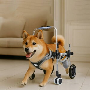 大型犬 車椅子」の人気商品一覧・価格比較 - 価格.com