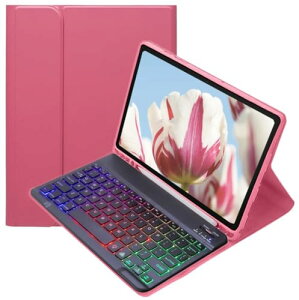 iPad 11���� A16 11�C���`/ 10���� 10.9�C���`�p�� �L�[�{�[�h�P�[�X ���C���{�[�o�b�N���C�g�t�� iPad ��11/10����