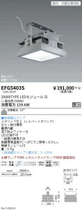 EFG5403S�@�V�[�����O���C�g�@20000�^�C�v�@5000K�@�����@ENDO �����Ɩ� �G���h�E �y3980�~�ȏ�(�ō�)�ő��������z