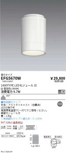 EFG5670W�@ARCHI�V�[�����O_���t�^�C�v_1400TYPE_3000�@ENDO �����Ɩ� �G���h�E �y3980�~�ȏ�(�ō�)�ő��������z