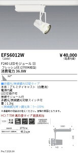 EFS6012W�@���N�X�|�b�g���C�g�@���@F240�@�t���b�V��EE�@�L�p�@ENDO �����Ɩ� �G���h�E �y3980�~�ȏ�(�ō�)�ő��������z